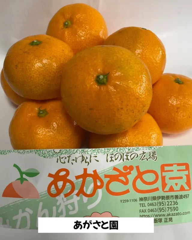 いせはらJazzフェスタ2022開催（10/1・10/2） | （一社）伊勢原市観光